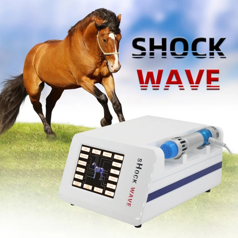 Veterinary Shockwave Therapy M - đánh giá và giá Skincare Animate