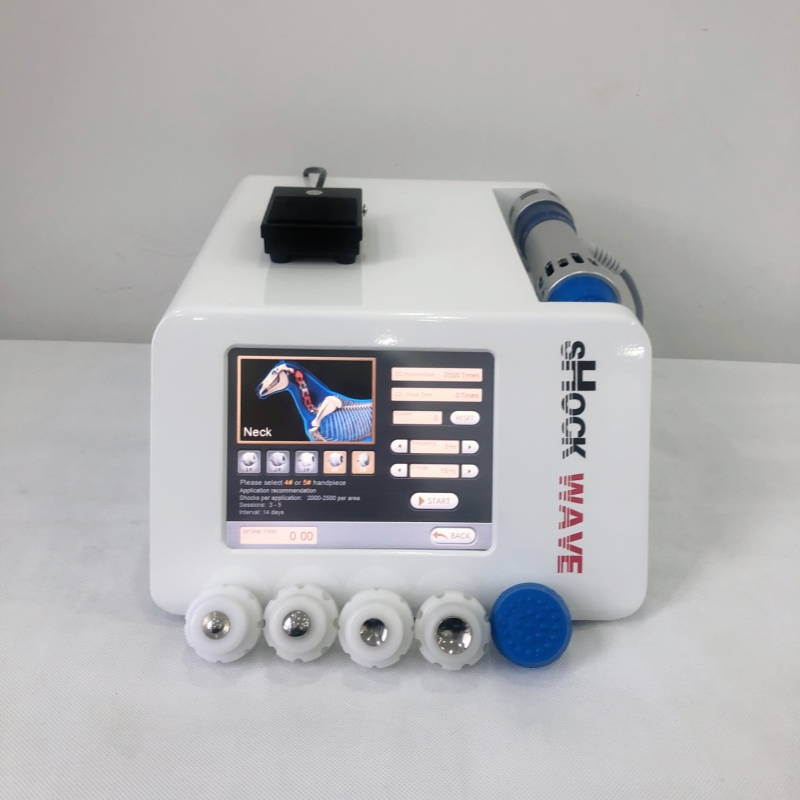 Veterinary Shockwave Therapy M - đánh giá và giá Skincare Animate
